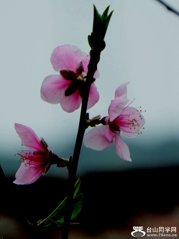 DSCF1570.jpg