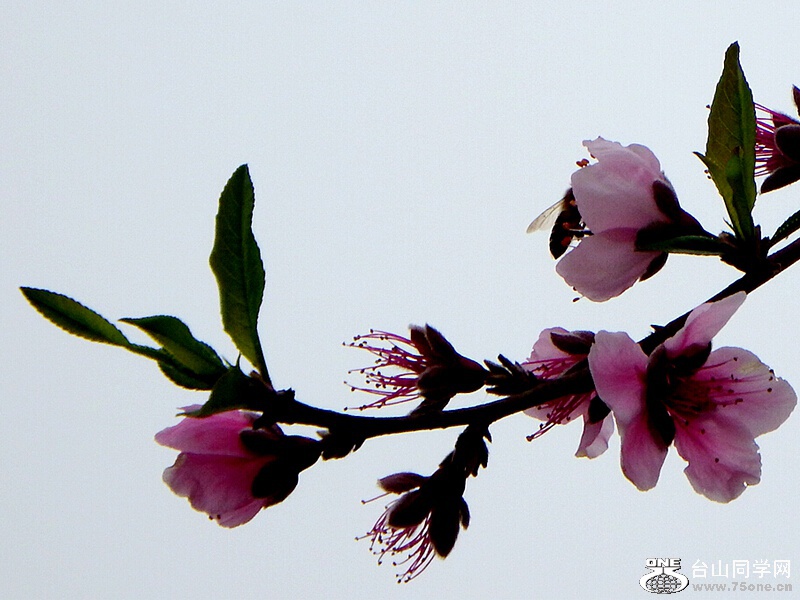 DSCF1592.jpg