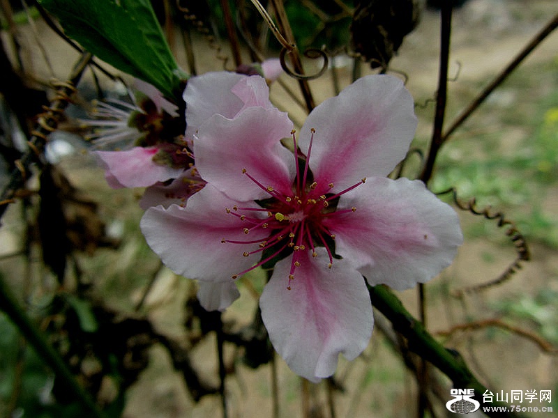 DSCF1101.jpg