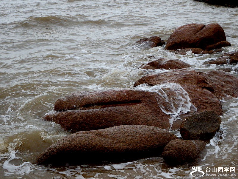 DSCF2386.jpg