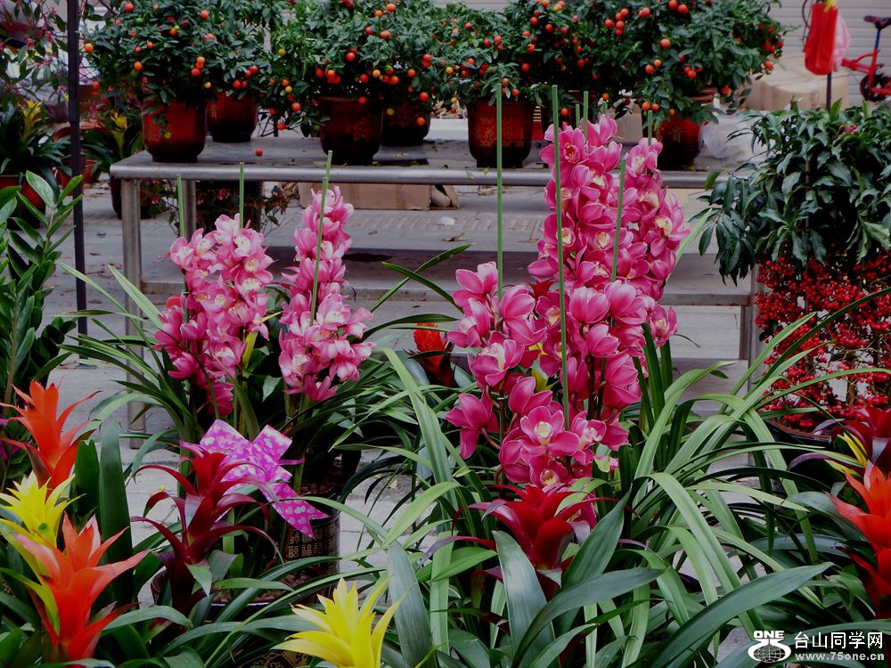 DSCF2159.JPG