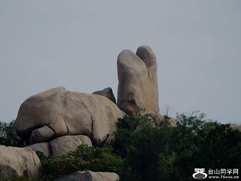 DSCF7339.jpg