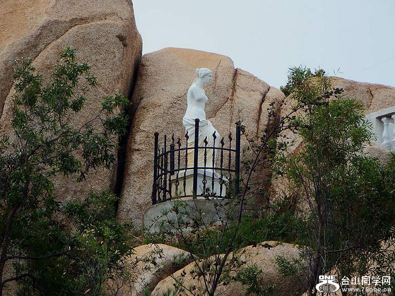 DSCF7379.jpg