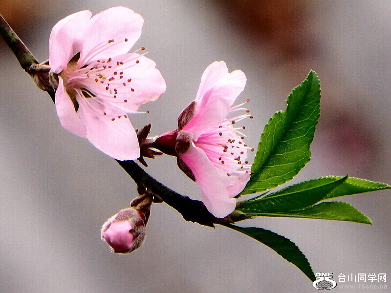 DSCF1576.jpg
