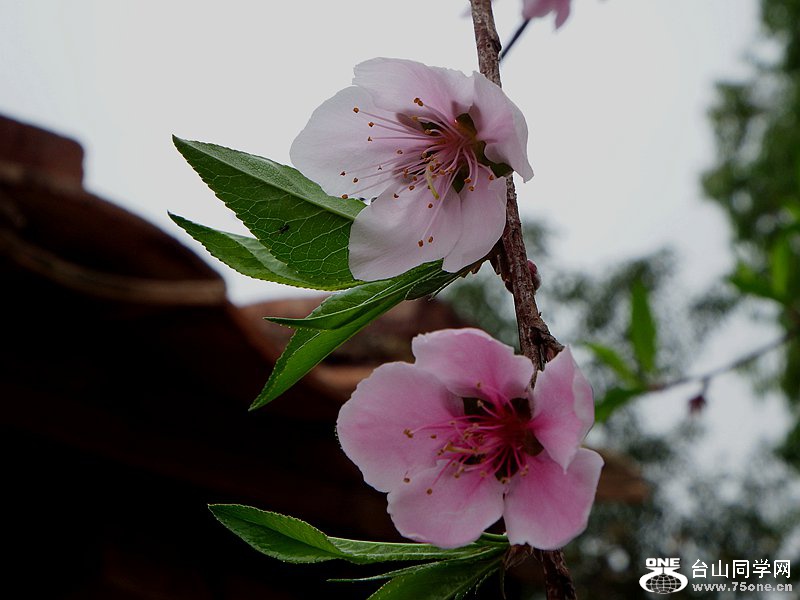 DSCF1549.JPG