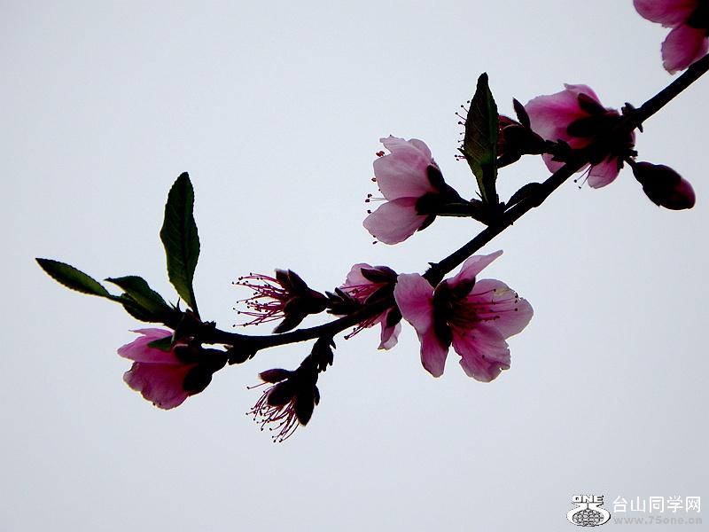 DSCF1595.JPG