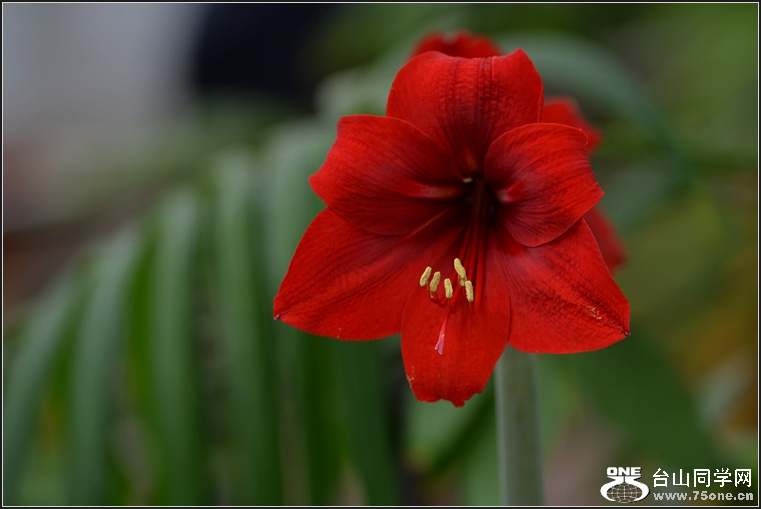 DSC_7918.jpg