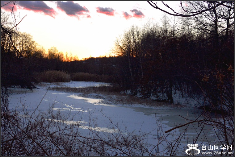DSC_1299.jpg