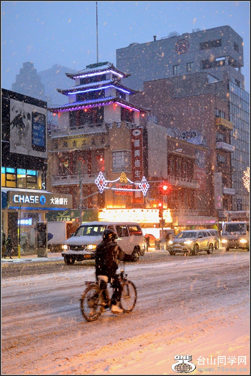 DSC_8815.jpg