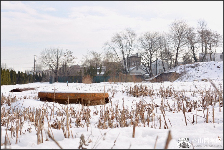 DSC_1157.jpg