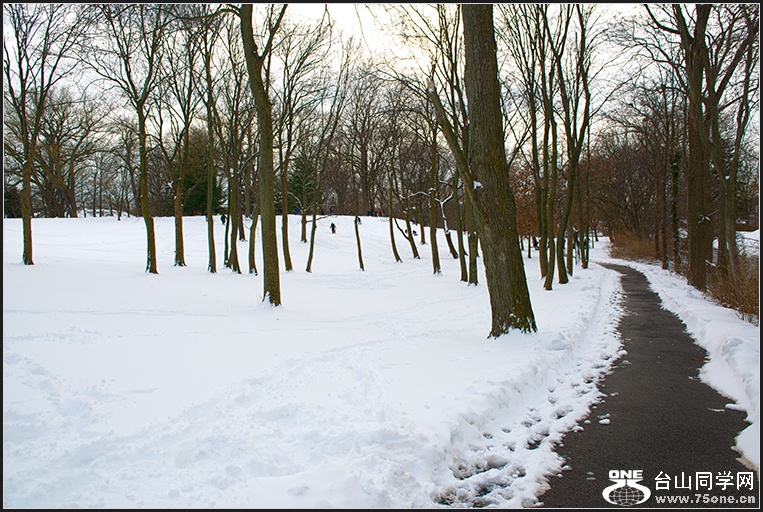 DSC_6186.jpg