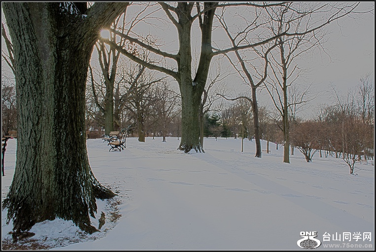 DSC_6174.jpg