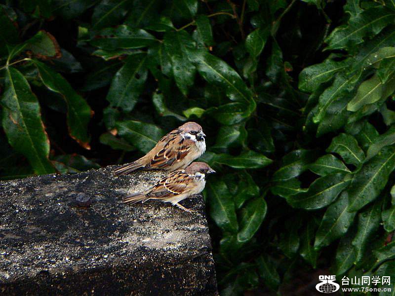IMG_5955.jpg