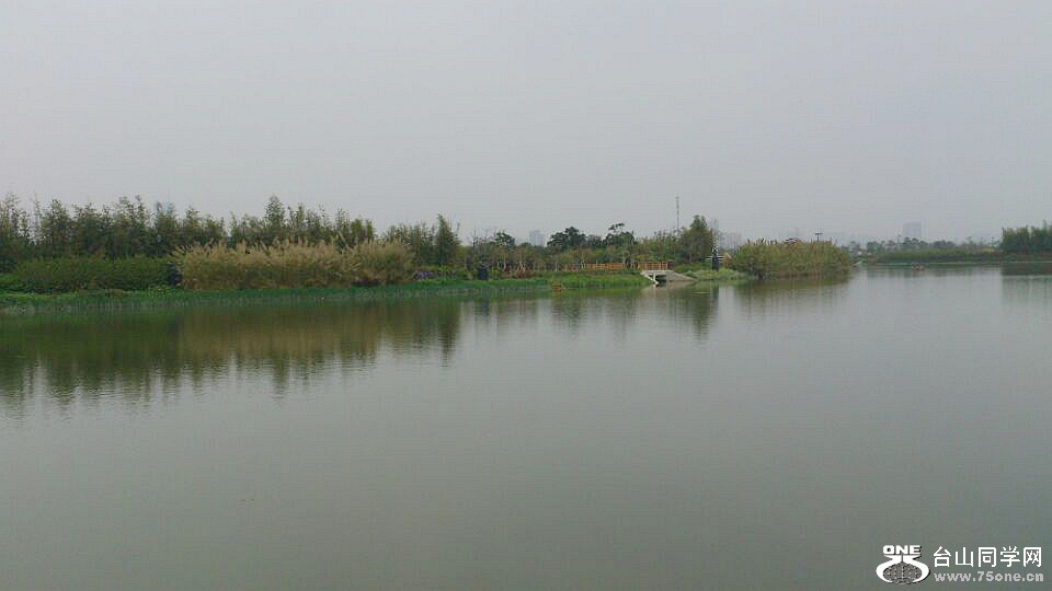 IMG_4348.jpg