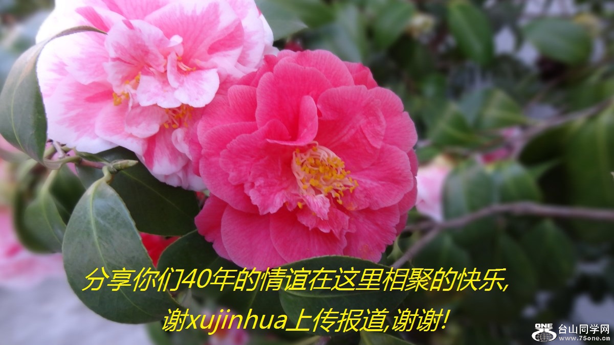 40۵Ŀ,лxujinhuaϴ,лл!.jpg