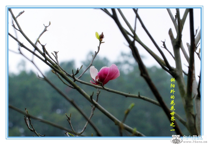 _MG_01612015.1.1_.jpg