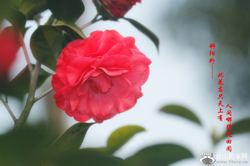 _MG_50792015.1.1_.jpg