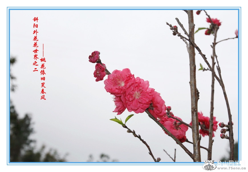 _MG_96142015.1.1_.jpg
