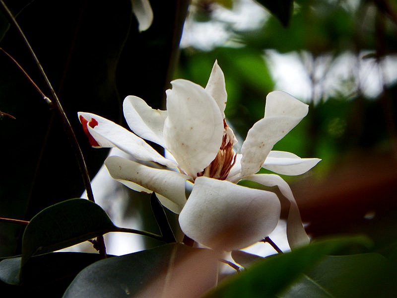 DSCF1670.jpg