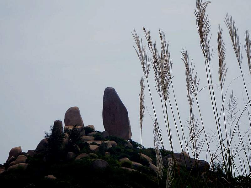 DSCF7334.jpg