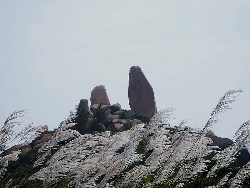DSCF7330.jpg