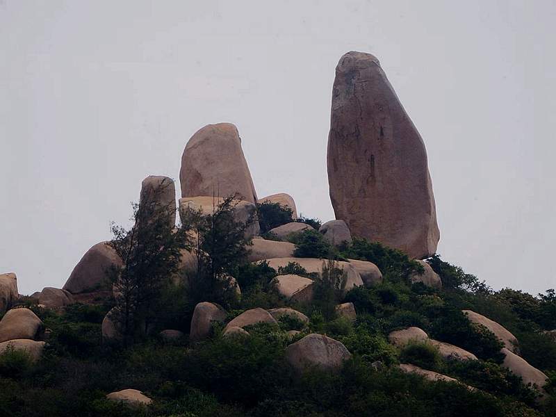 DSCF7354.jpg