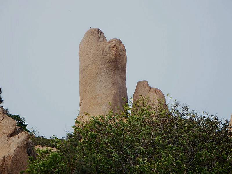 DSCF7389.jpg