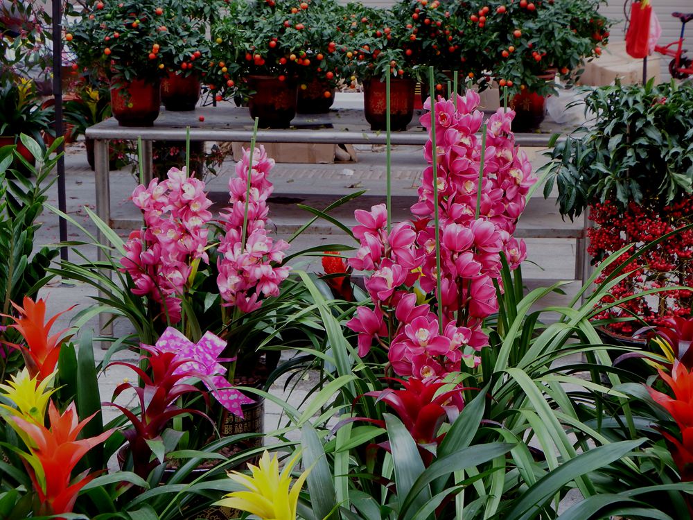 DSCF2159.JPG