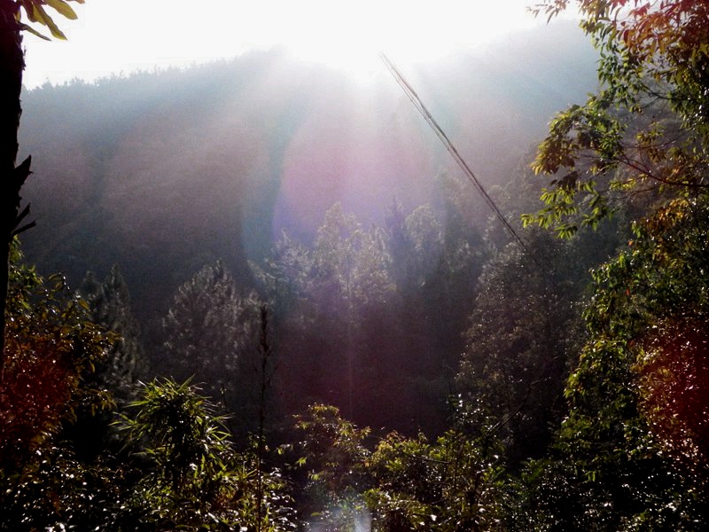 ��_0157.jpg