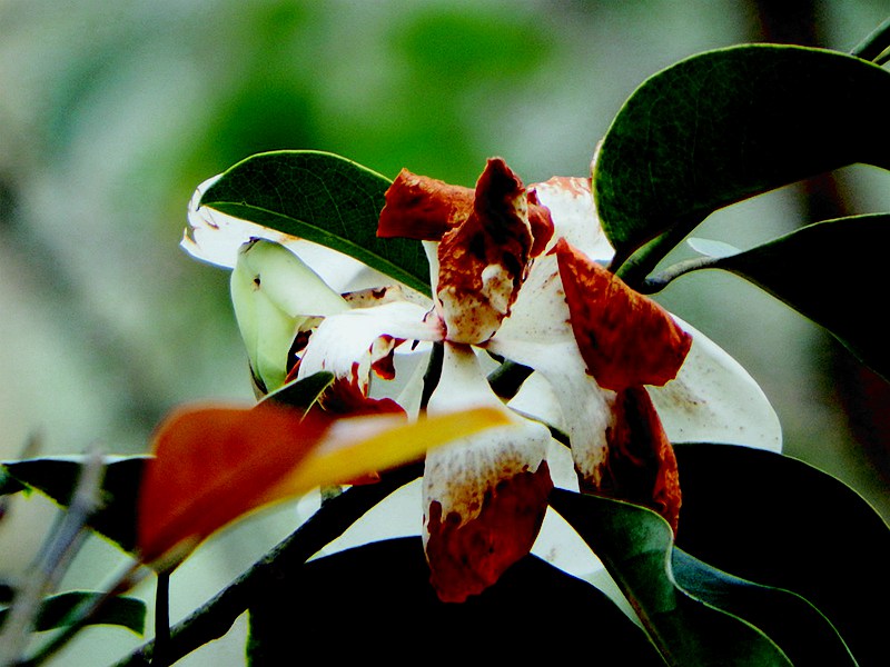DSCF1667.JPG