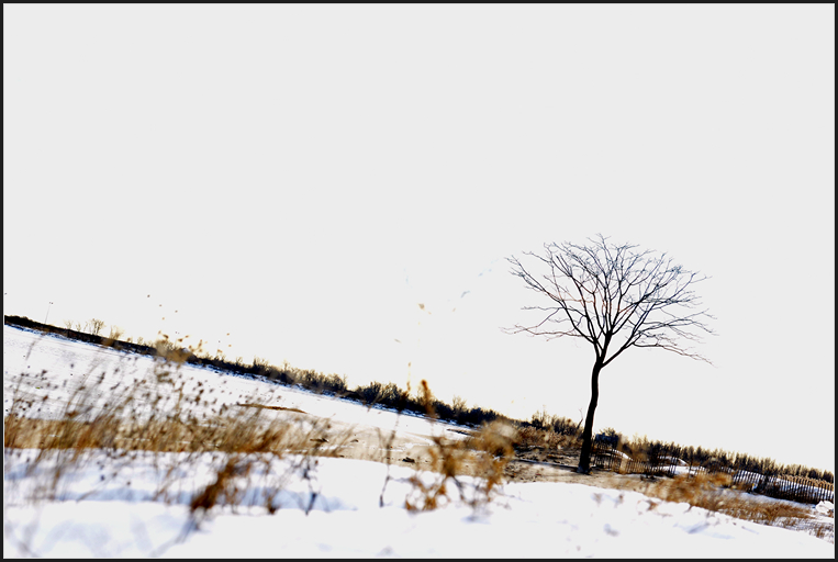 DSC_6363.jpg