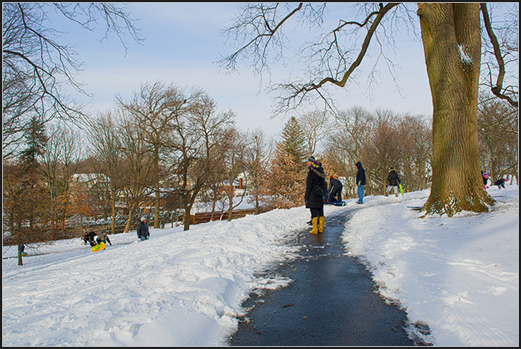 DSC_6153.jpg