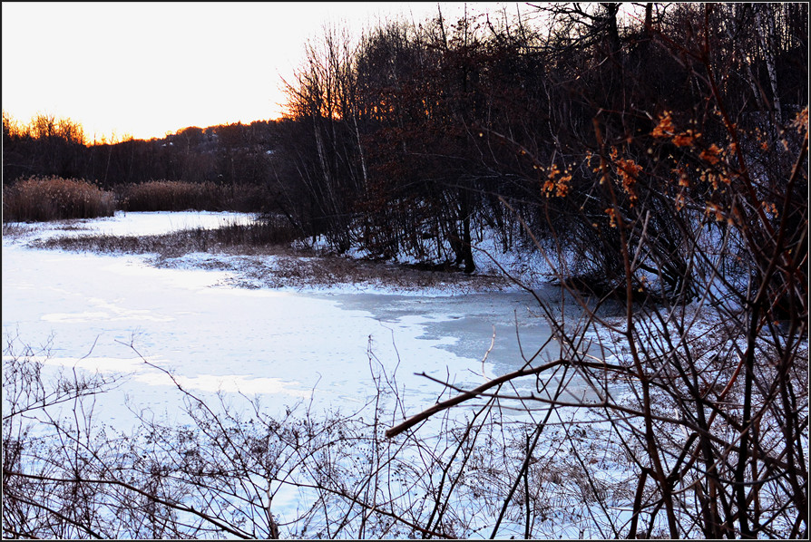 DSC_1316.jpg