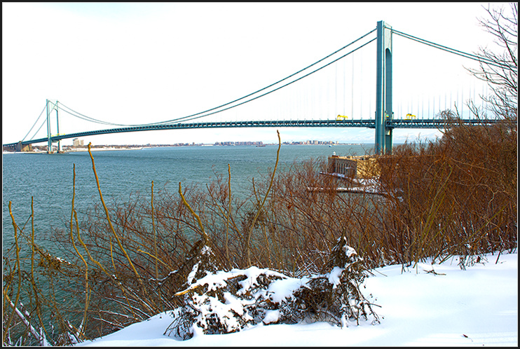 DSC_6158.jpg
