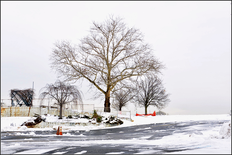 DSC_1060.jpg
