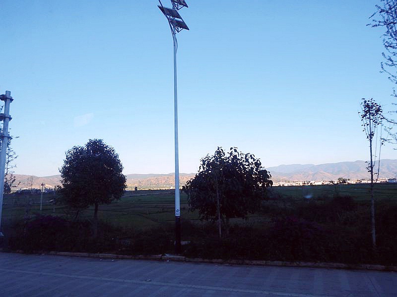 IMG_7854.jpg