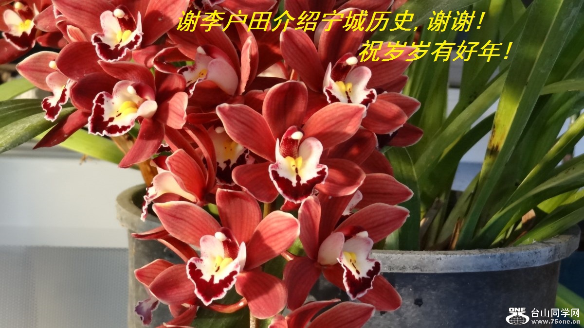 лʷ,лл!ףк!.jpg