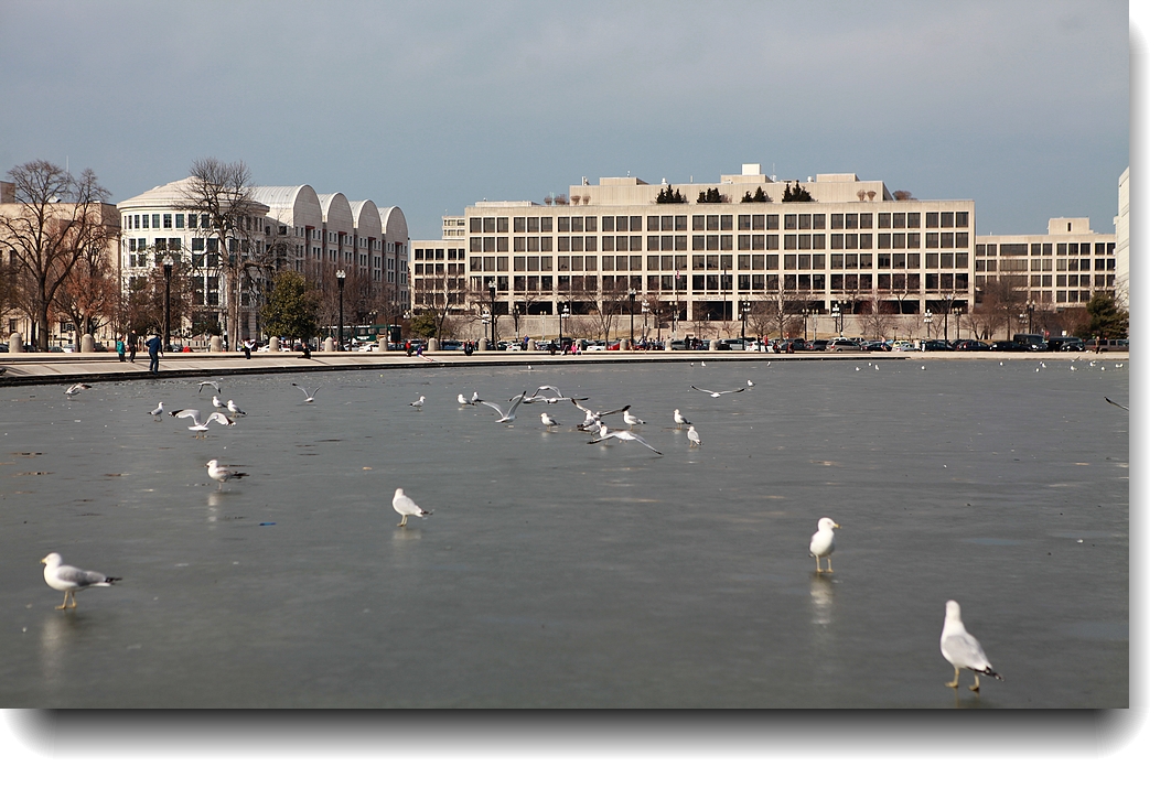 IMG_3307a.jpg