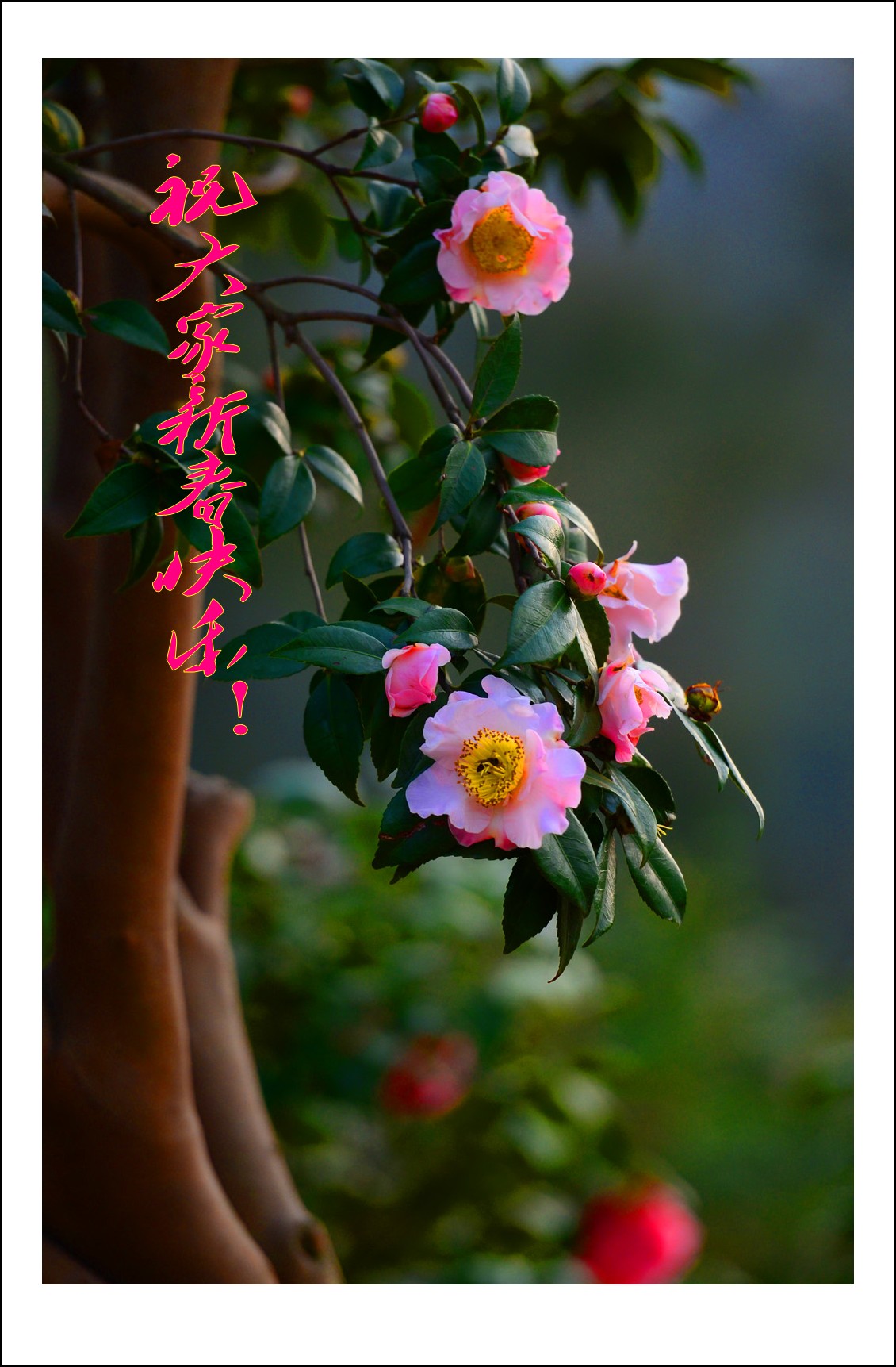 DSC_5028_conew2.jpg