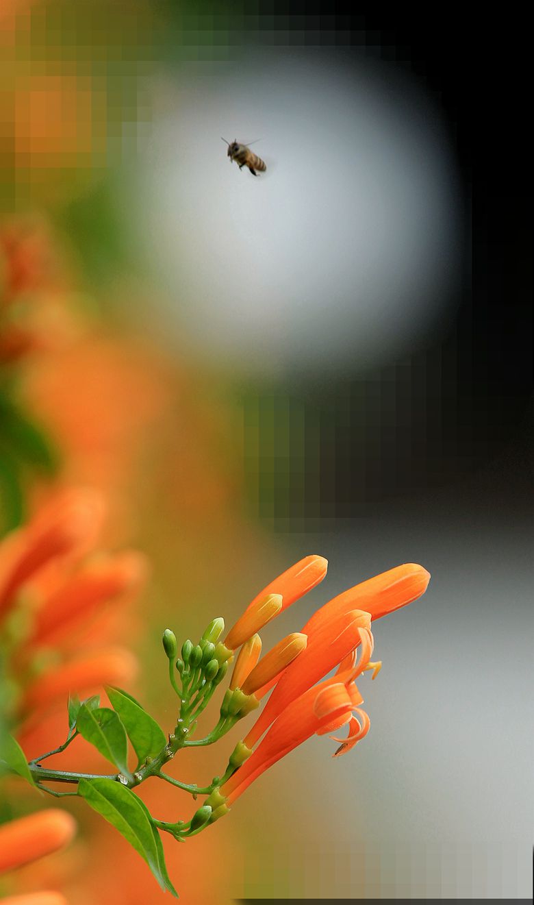 IMG_8956_.jpg