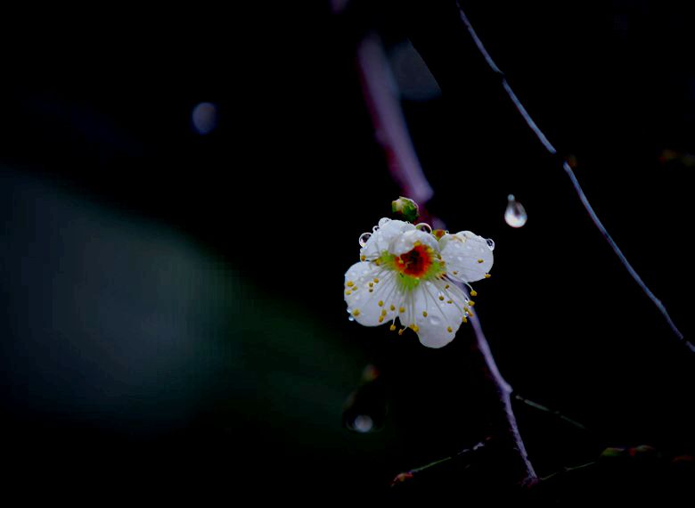 IMG_7441__.jpg