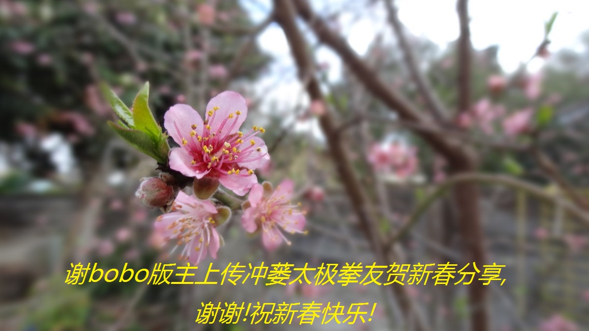 лboboϴ̫ȭѺ´,лл!ף´!.jpg