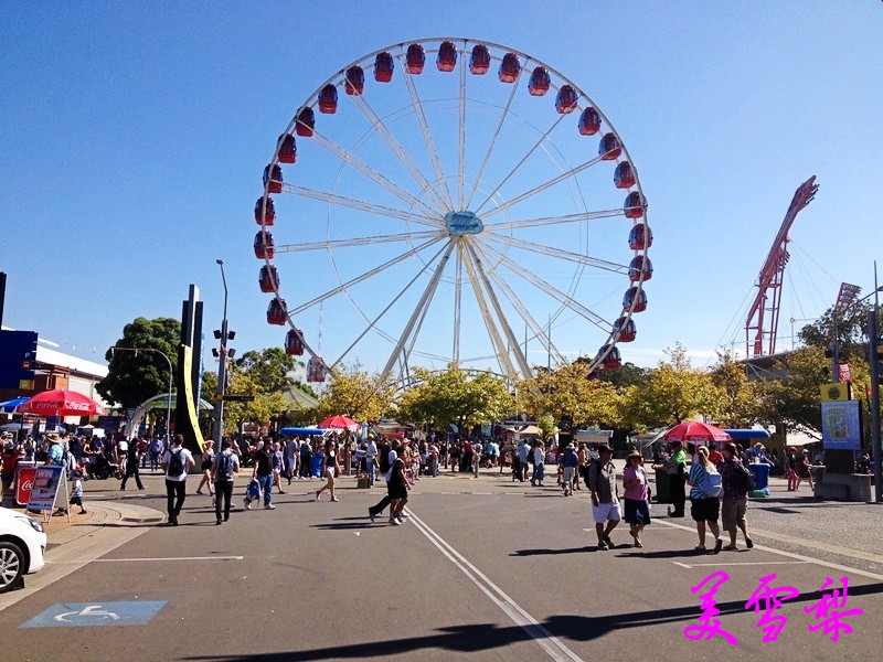 DSC_4229_conew1.jpg