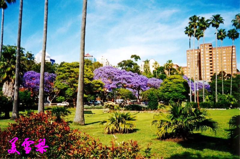 DSC_2368_conew2.jpg