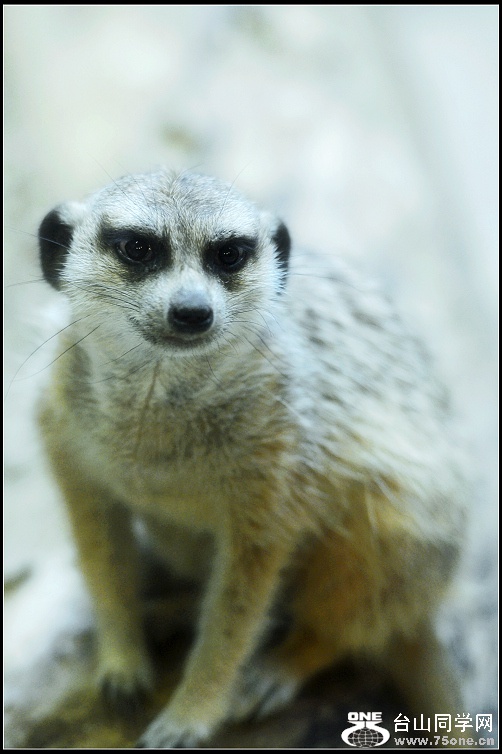 DSC_8464.JPG