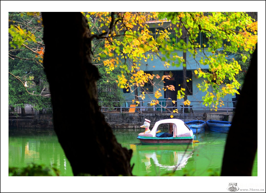 DSC_3548_conew1.jpg