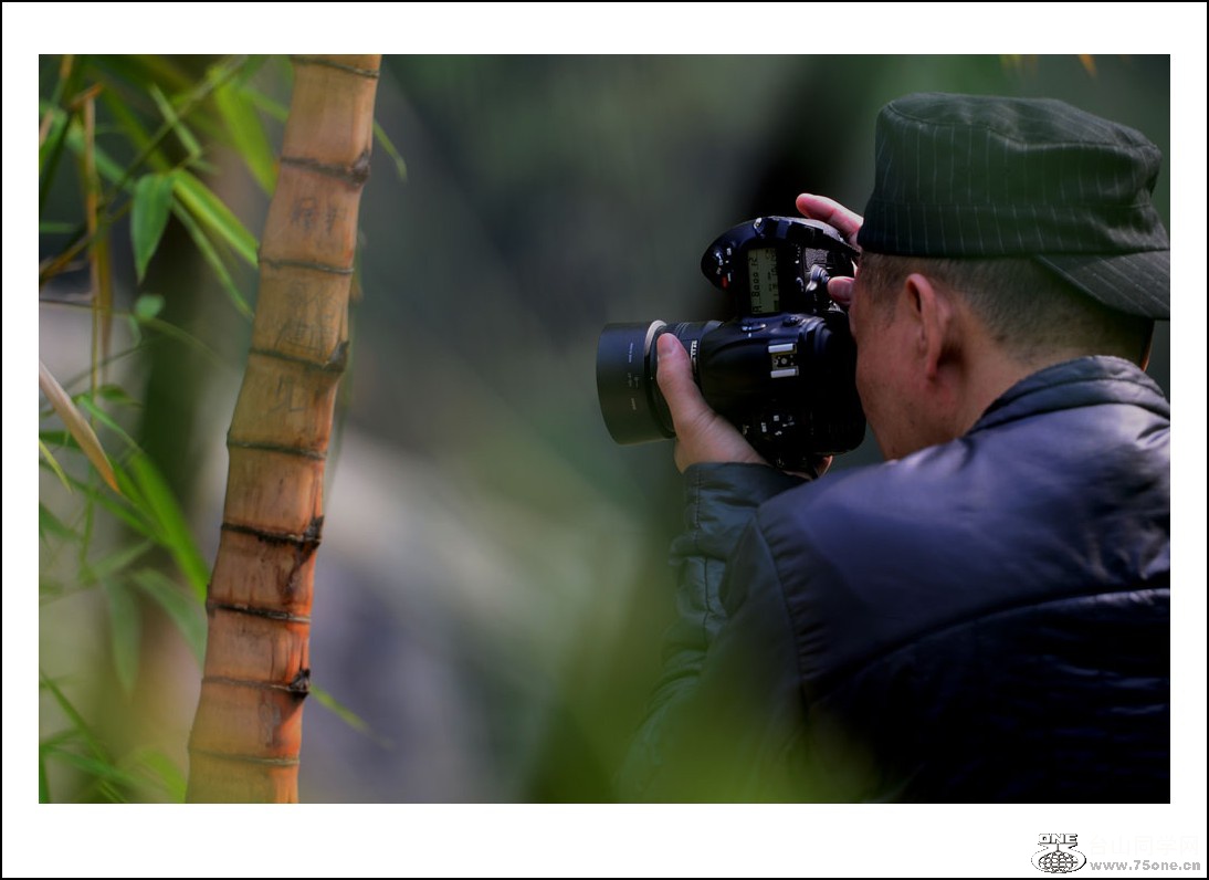 DSC_3627_conew1.jpg