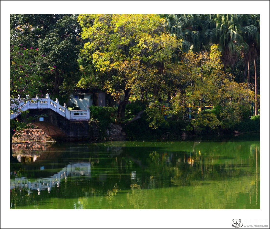 DSC_2392_conew1.jpg