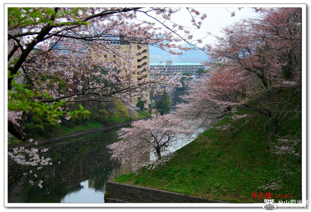 ӣ01.jpg