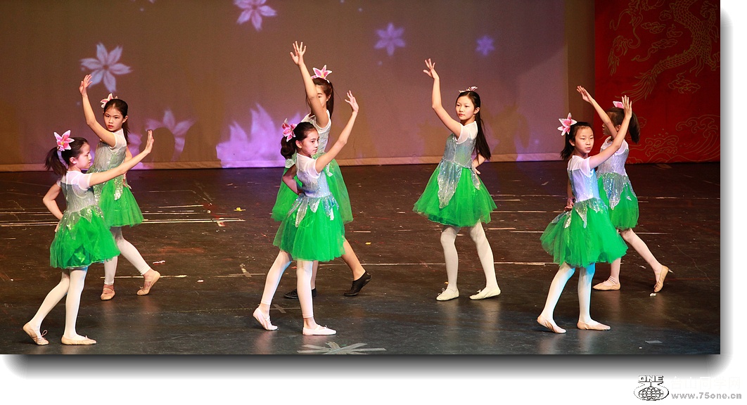 IMG_3423A.jpg